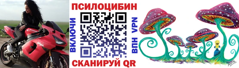 OMG tor  Урай  Галлюциногенные грибы ЛСД 