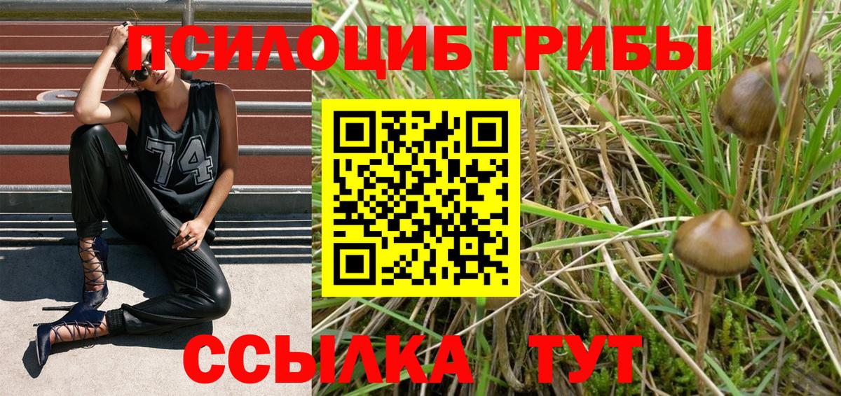 Псилоцибиновые грибы GOLDEN TEACHER  Вход с VPN  Псилоцибиновые грибы GOLDEN TEACHER  Урай 